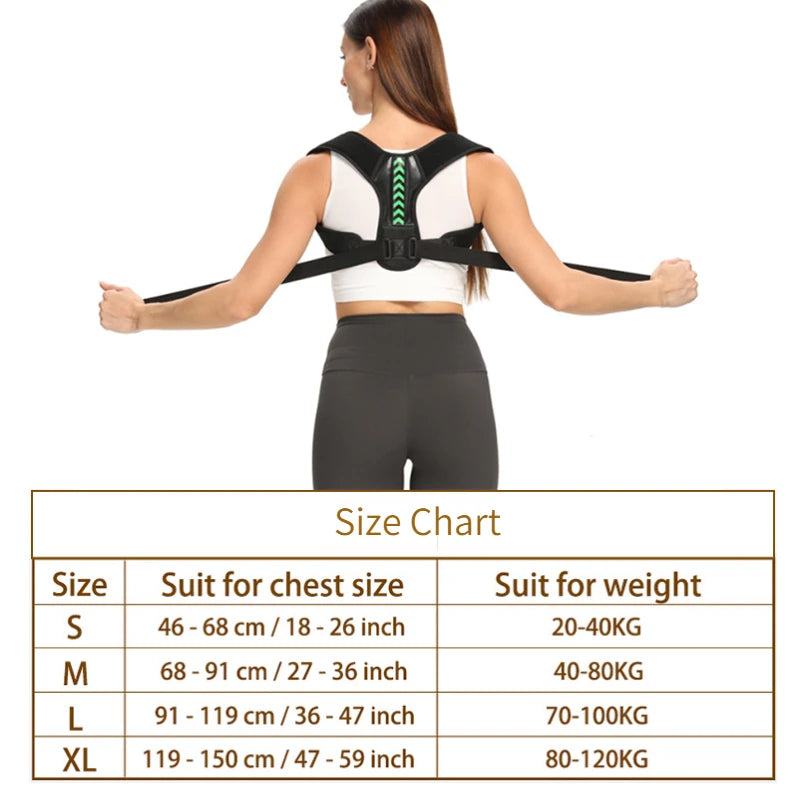 Align & Support Belt