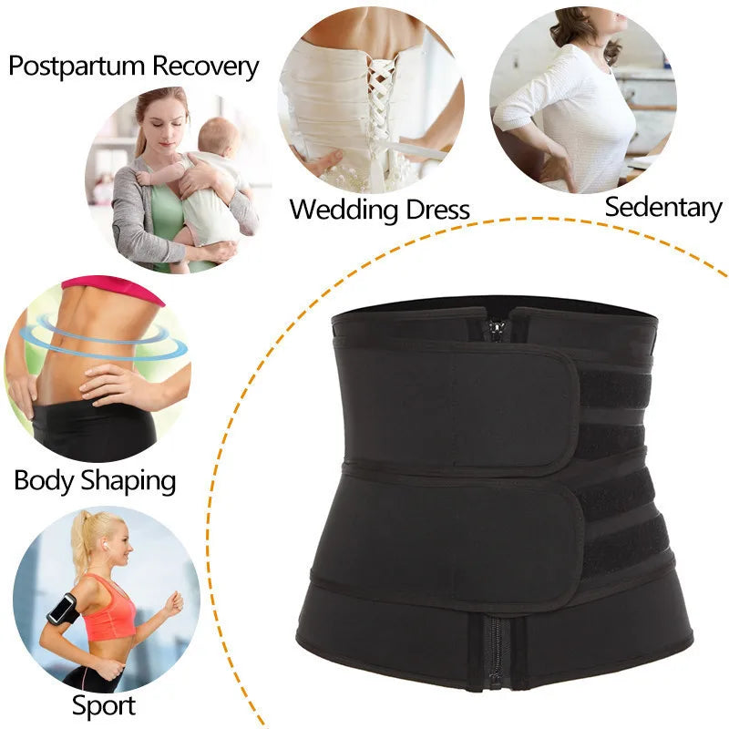 Sculpt & Support Belt